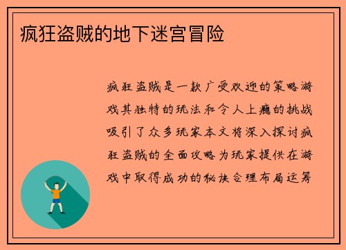 疯狂盗贼的地下迷宫冒险